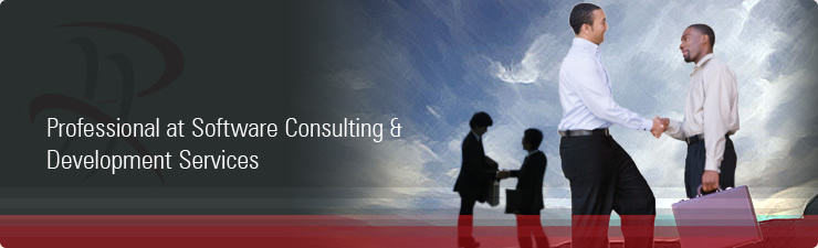 Professional at Software Consulting & Development Services